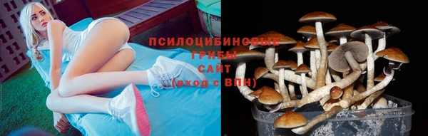 mix Каменногорск