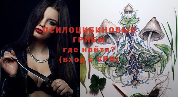 стаф Инсар