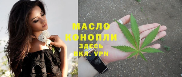 стаф Инсар