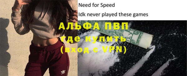 стаф Инсар