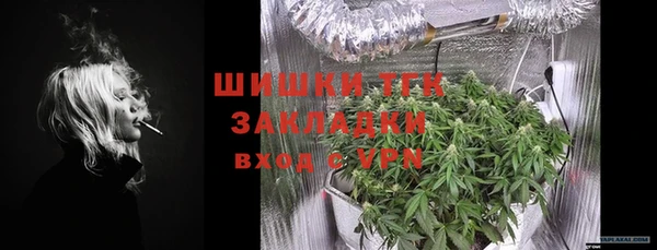 сатива Каменка