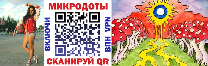 Псилоцибиновые грибы MAGIC MUSHROOMS Змеиногорск